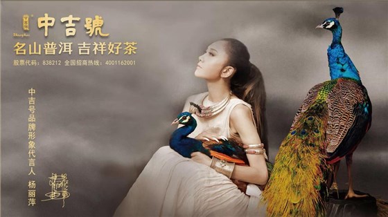 中吉號云南普洱茶-雨前茶的特點(diǎn)是：香氣比頭春稍弱，甜度卻高于頭春茶