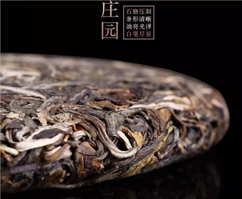 中吉號古樹茶 - 班盆莊園2018