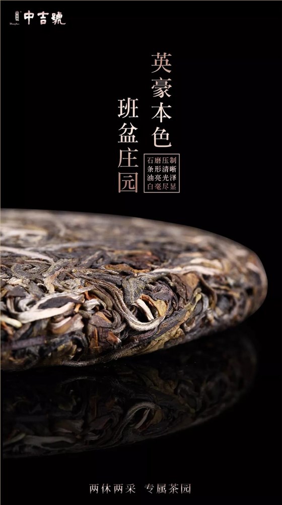 普洱茶價格表