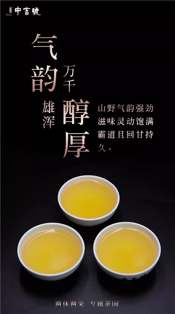普洱茶價格表