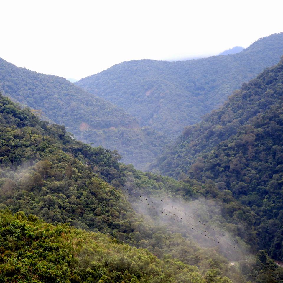 茶圣陸羽