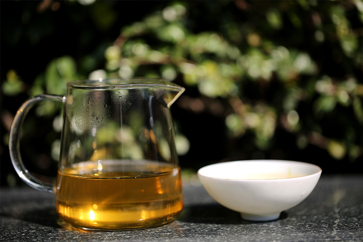 中吉號茶堂：什么季節(jié)采摘的云南普洱茶品質(zhì)最好？