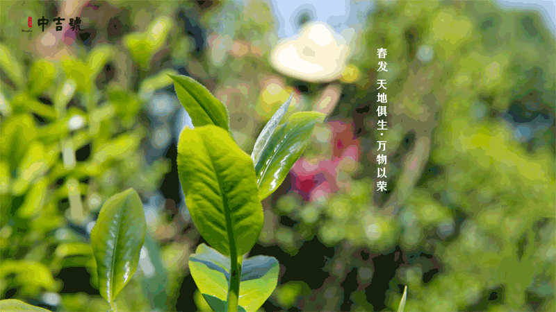 中吉號(hào)